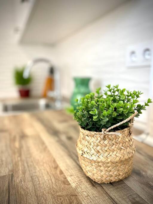 Mychoice Carmen Apartment Rota Bagian luar foto